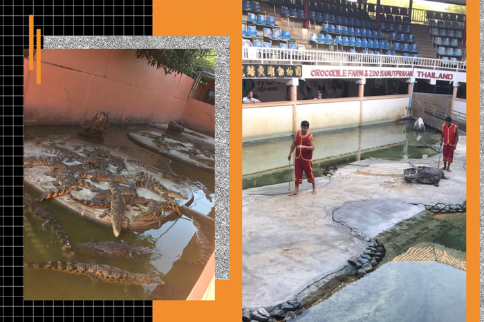 高端拉床,專用機床,內拉床,外拉床,數(shù)控機床,自動化生產(chǎn)線,工業(yè)機器人 高端拉床,專用機床,內拉床,外拉床,數(shù)控機床,自動化生產(chǎn)線,工業(yè)機器人