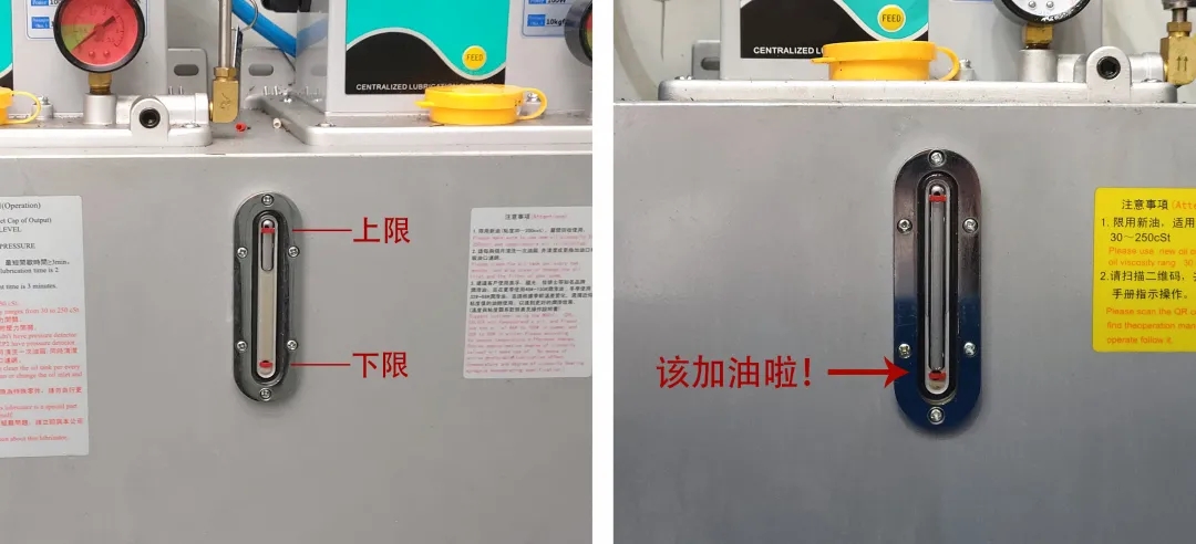 1636088409167092.jpg 640.webp (4).jpg