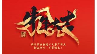 浙江暢爾智能裝備股份有限公司祝大家2021年新年快樂！