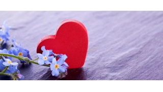 【暢爾故事】胡武英：在暢爾，總有溫暖隨行