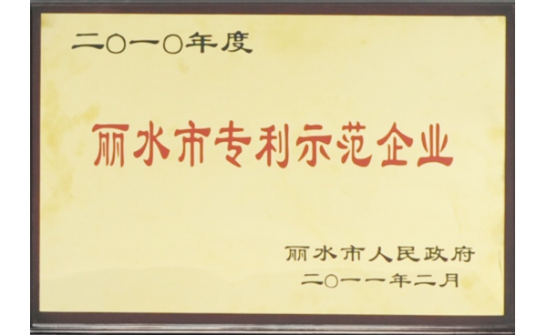 麗水市專利示范企業(yè)